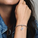 Openable Passport Dangle - 3