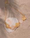Pulsera Mini Conchas + Aretes - 2