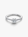 Sparkling Flower 58 - 2
