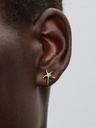 Starfish Stud - 2