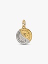 Sun and Moon Medallion - 2