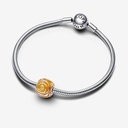Yellow Rose in Bloom - 2