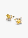 Honey Bee Stud - 2