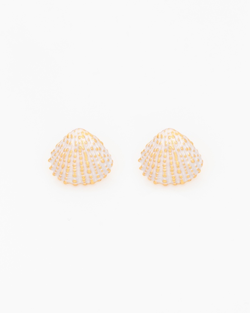 Aretes Concha - 3