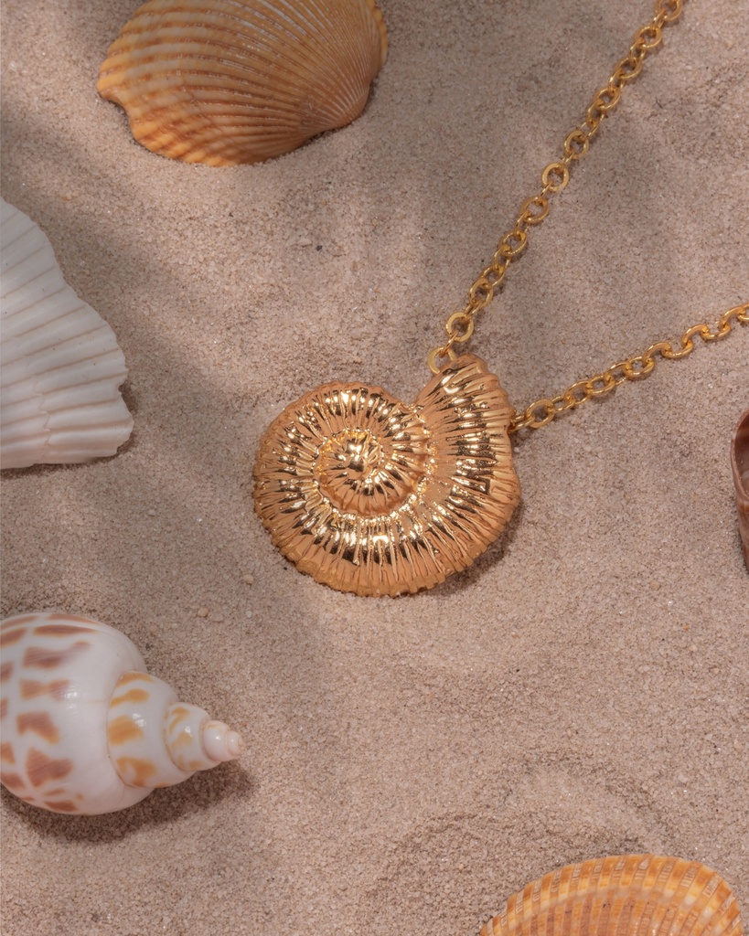 Collar Caracol + Aretes - 2