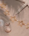 Collar Estrellas Mar + Aretes - 2