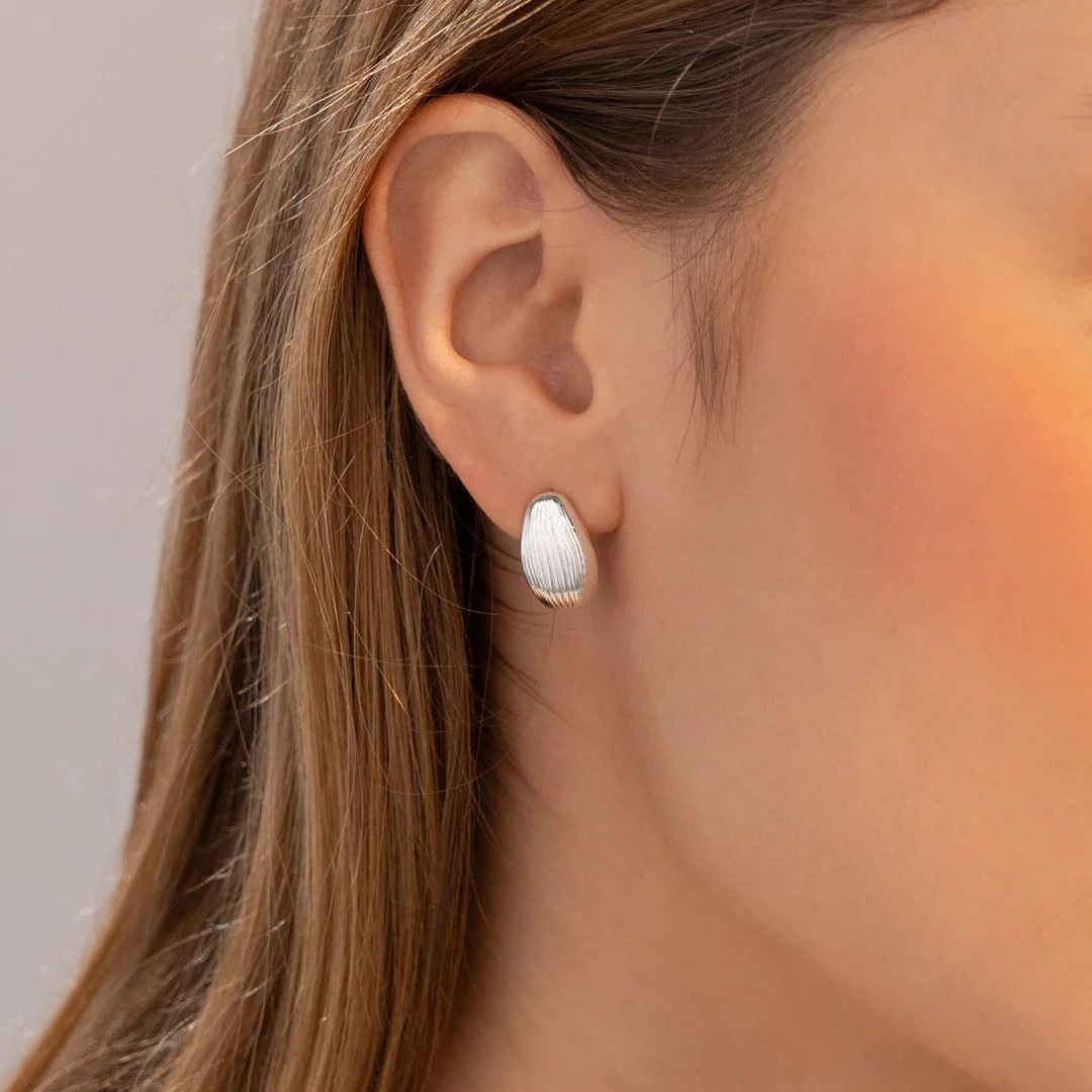 [22427] Aretes Hoja Plata