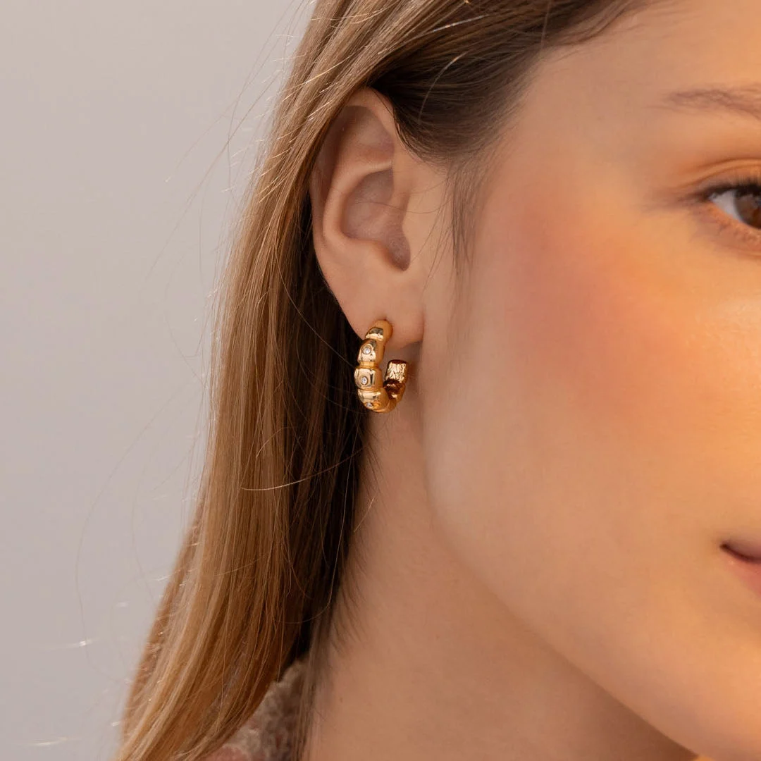Arete Libelula Cristal