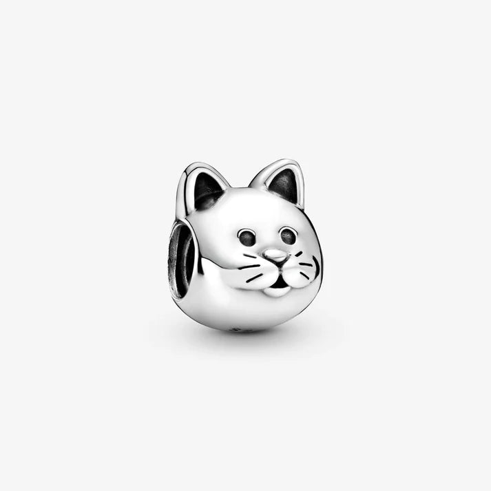 [203] Curious Cat