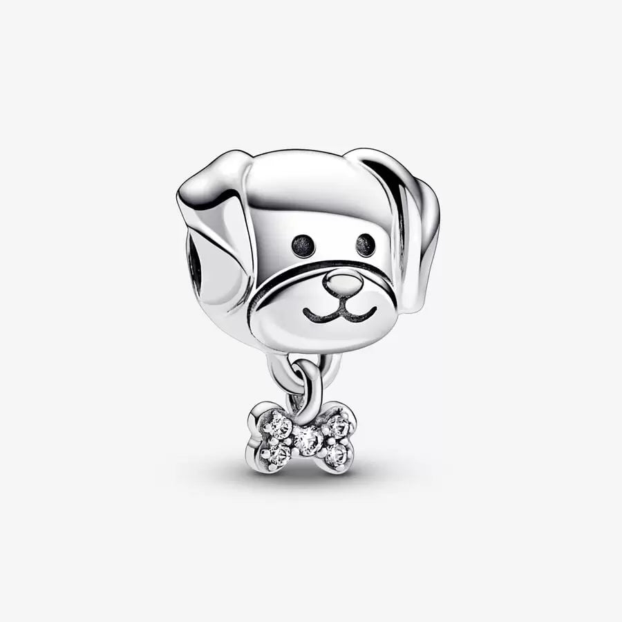 [228] Pet Dog & Bone