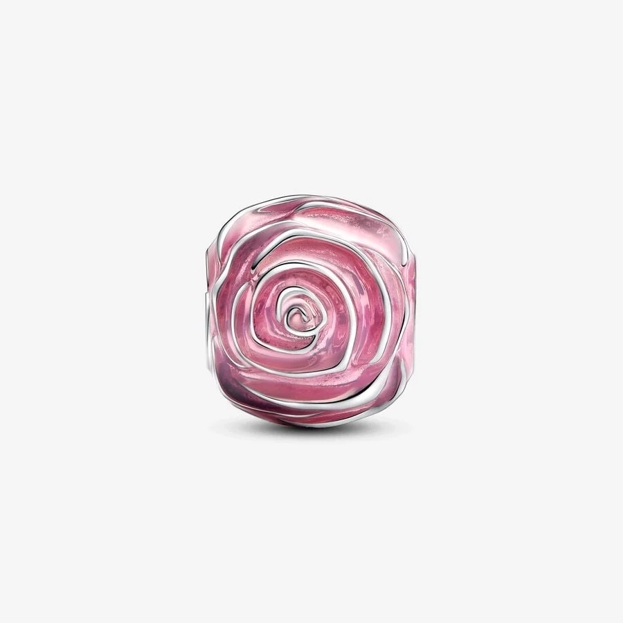 [915] Pink Rose in Bloom