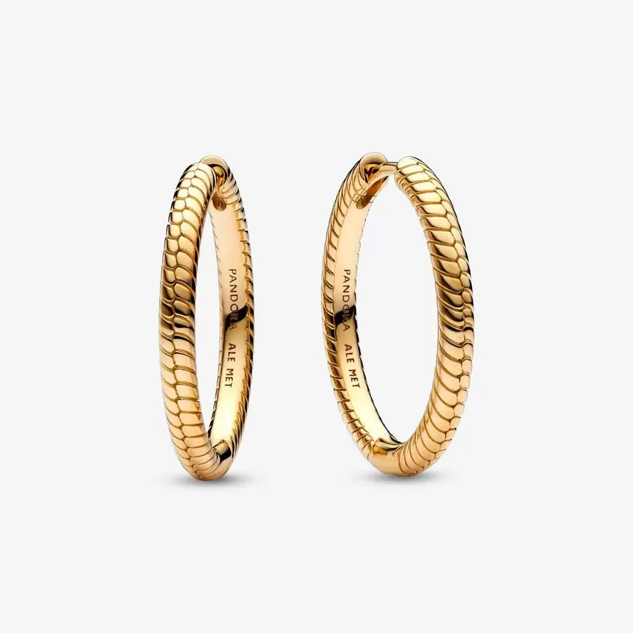 [2287] Charm Hoop Earrings Shine